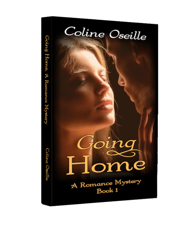 Nicole Sorrell Going Home A Romance Mystery 3d Left 1